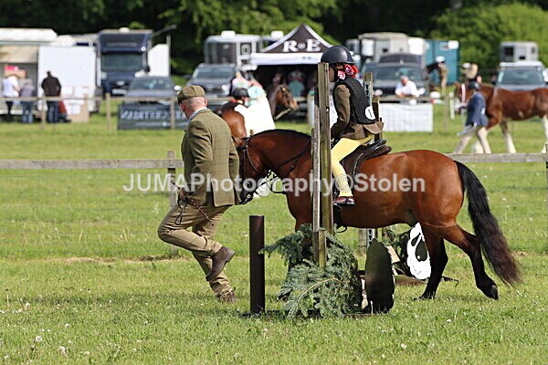 IMG_2177 - Working Hunter