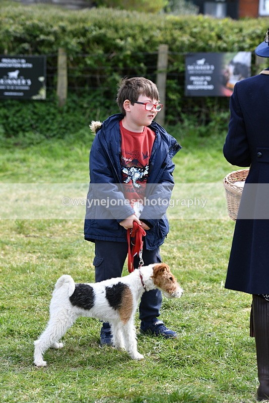 WJ5_0622 - Class 7 Best Terrier