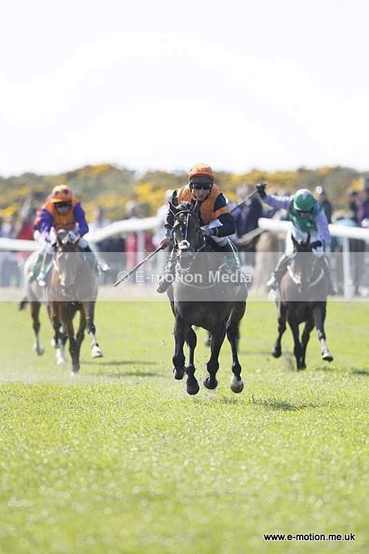  GRD 030510 151 - Guernsey Race Day 03/05/10