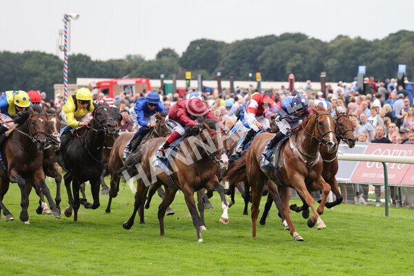 yr19082021r3-30 - Race 3 3.00pm Clipper Logistics Stakes