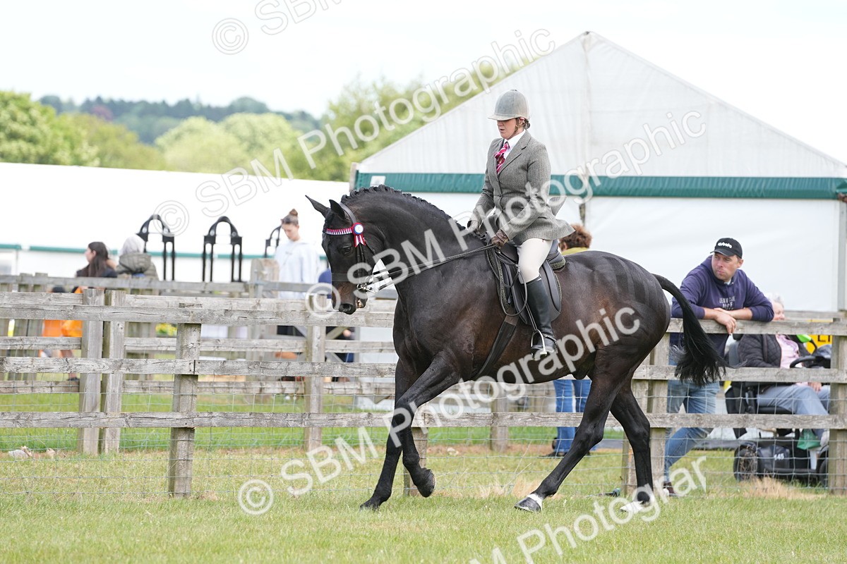SBM_16180 - Class 105-106 - RIHS Riding Horses