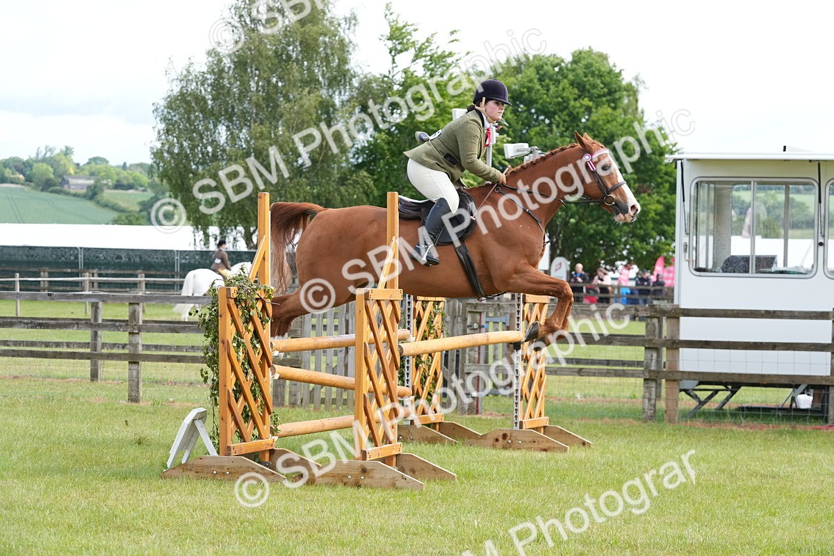 SBM_12910 - Class 99 - RIHS SEIB Working Show Horse