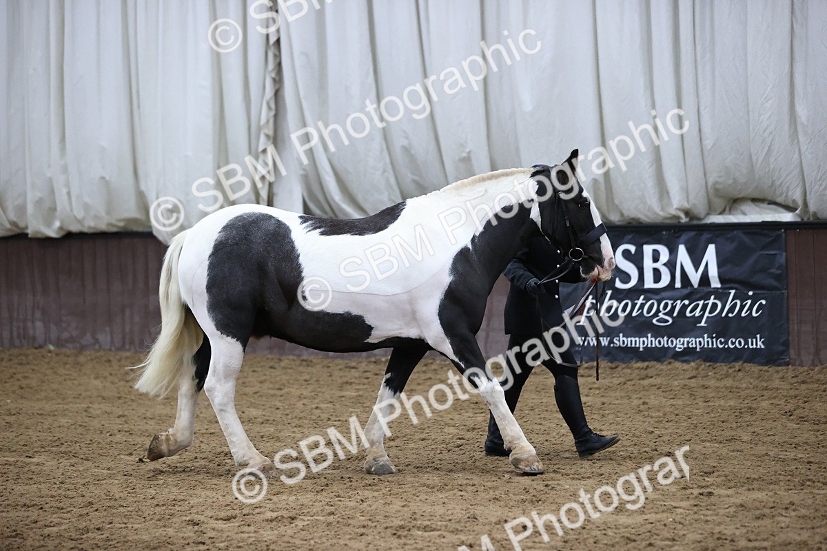 SBM_5344 - Class 32 - In Hand Cob Type