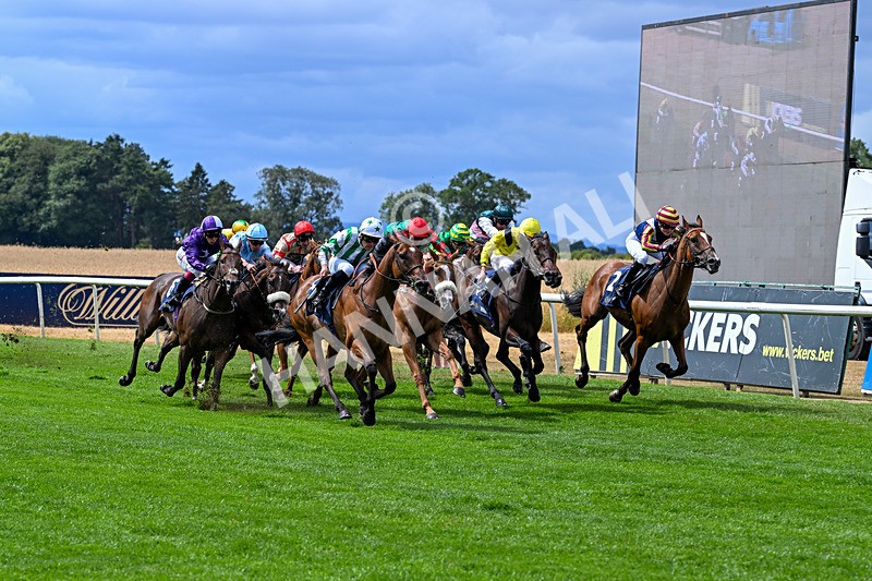 010826-Race 2-Witch Hunter-2253 - Race 2 14.08pm William Hill Summer Cup Handicap
