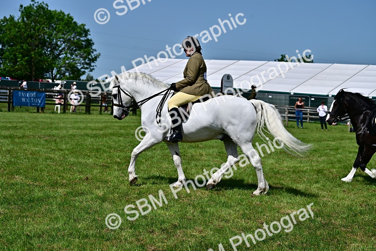 SBM_03750