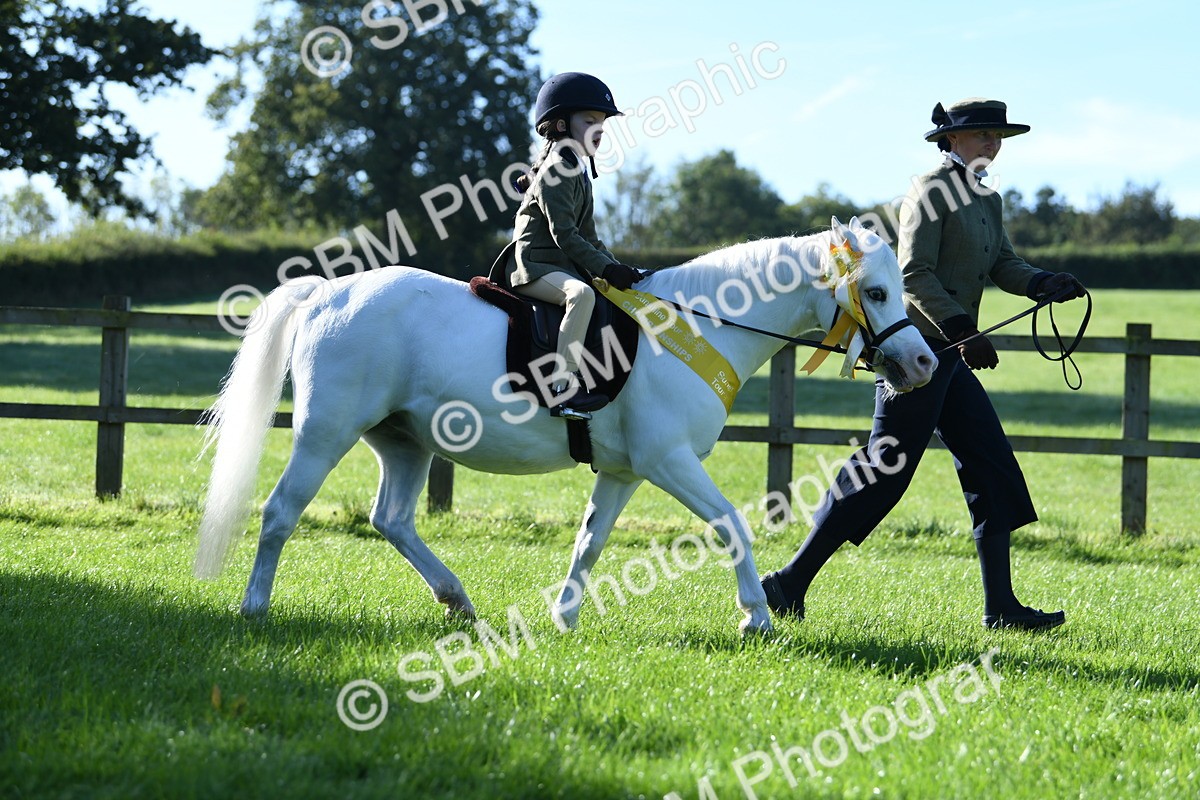 SBM_35543 - Top Turnout Supreme Championship