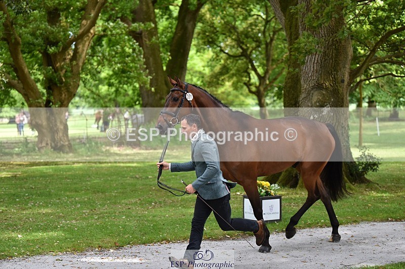 240522-150006-00032 - 301-CAMOUFLAGE-Alexander_Bragg