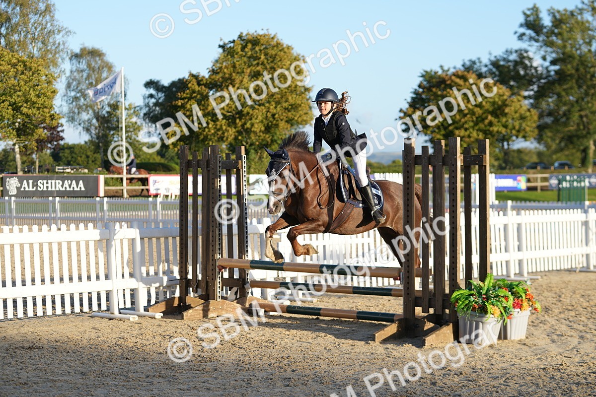 SBM_54128 - Supreme Championship 60cm 65cm