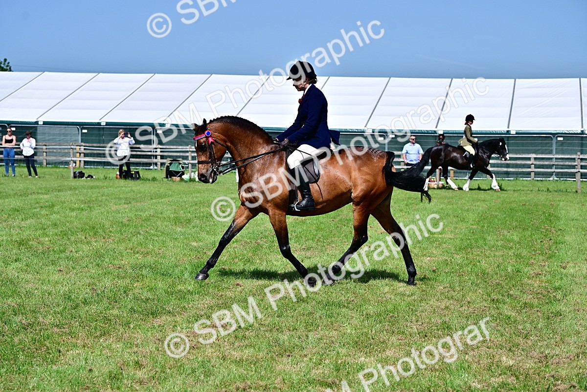 SBM_03745 - Class 58 - TSR  Ridden Veteran Amateur of the year