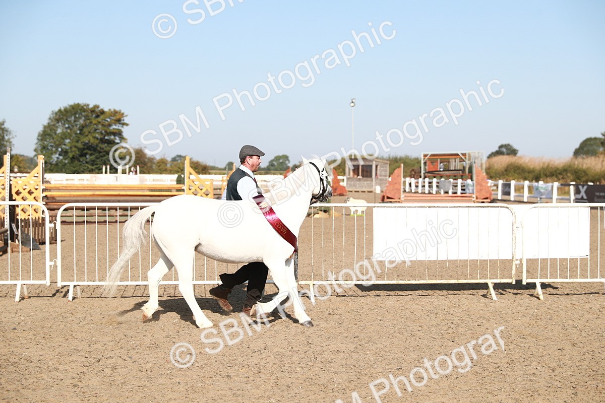 SBM_00166 - Class 40 Best Turned Out IH