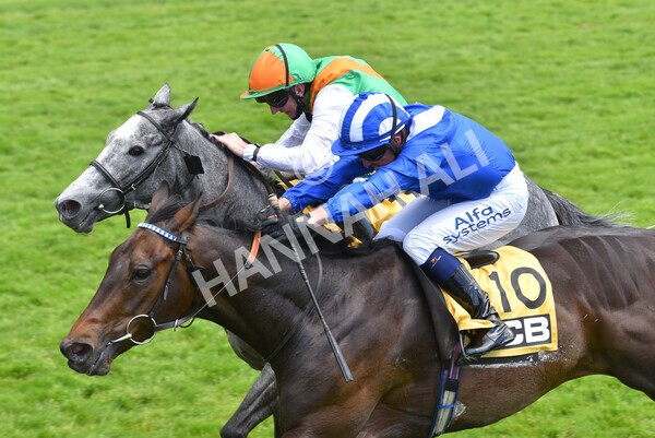 yr12062021r2-32 - Race 2 2.35pm The JCB Stakes