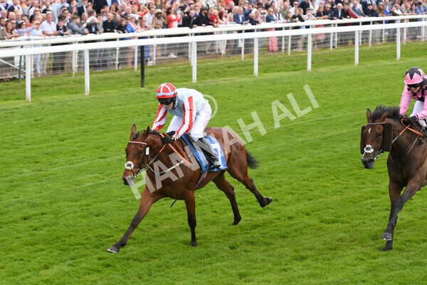 yr11062022r2-67 - Race 2 2.00pm Queen Mother's Cup