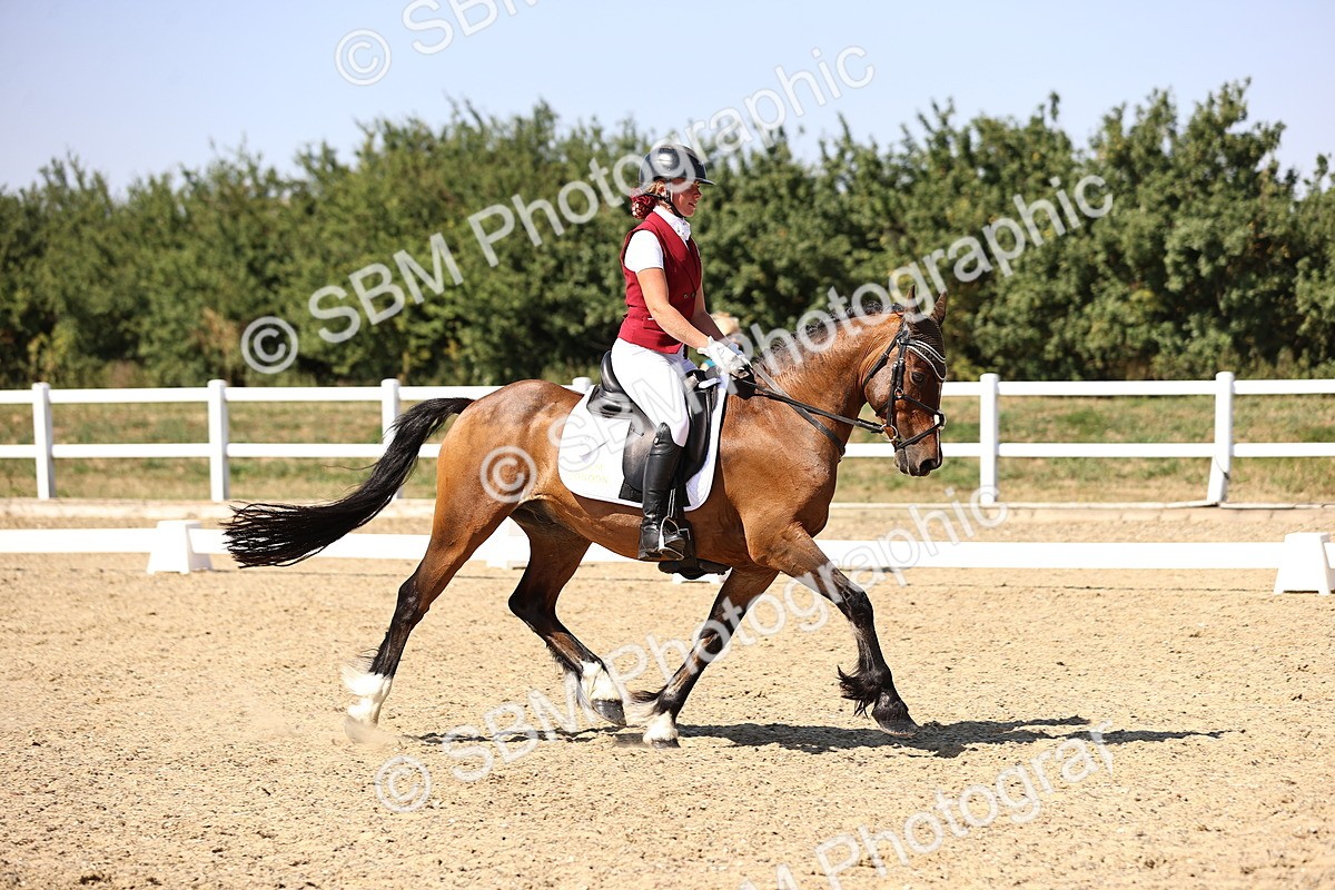 SBM_005604 - Elementary 4 Warm Up