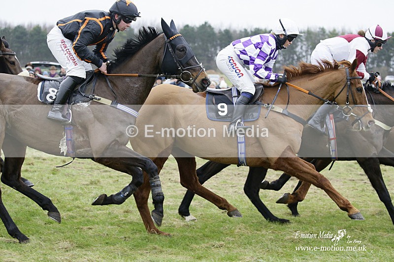 PtP 220122 361 - Royal Artillery Hunt Point-to-Point  - Larkhill Racecourse 22/01/22