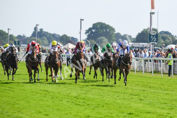 160623-Race 5-Harvanna-0569 - Race 5 4.10pm Juddmonte British EBF Fillies' Restricted Novice Stakes