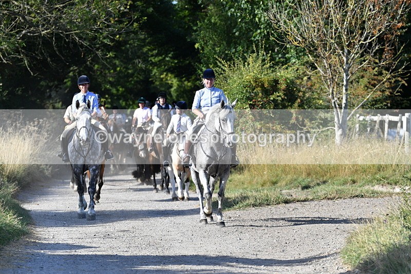 WJ5_4882 - Walk out with the hounds