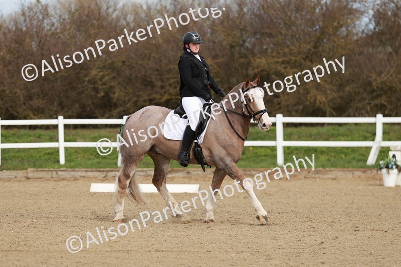 20260314-2763 - DR3 - Prelim 1