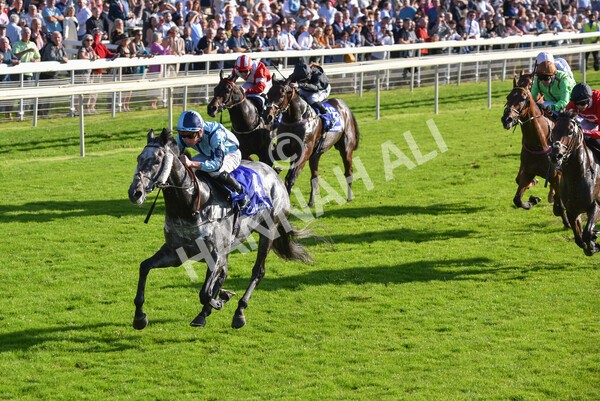 yr08102021r3-29 - Race 3 3.15pm Download The Casumo App Today Handicap