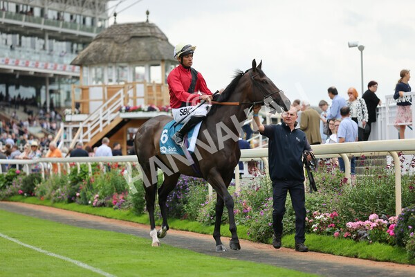 yr04092022r3-17 - Race 3 2.55pm The Elevator Company Garrowby Stakes