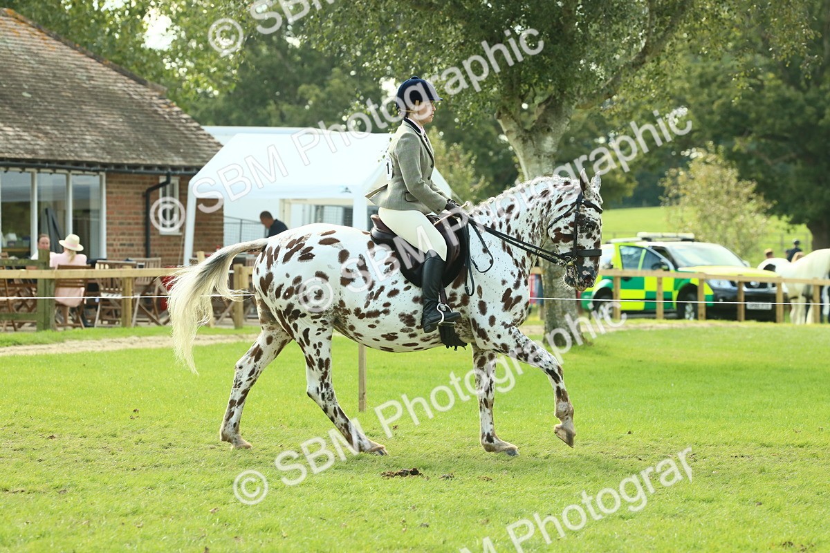 SBM_62412 - S62 - Foreign Breeds Ridden