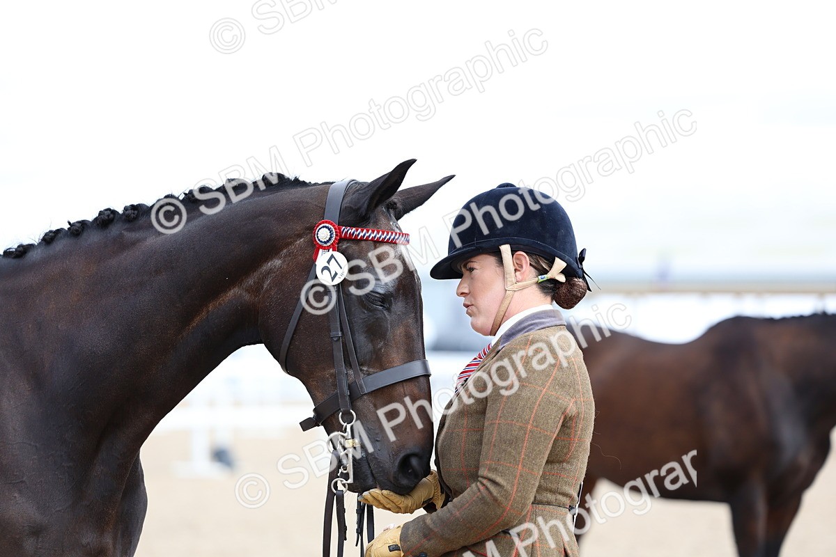 SBM_15293 - Class 313 - IH Retired Racehorse