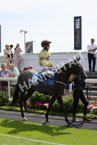 yr08072022r3-4 - Race 3 3.15pm William Hill Play Responsibly Irish EBF Novice Fillies Stakes