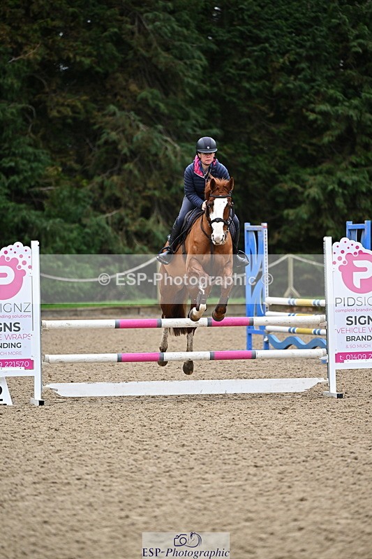 250201A-094029-00035 - Cls 01 Local Horse 90cm