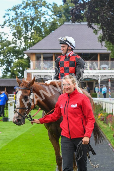 150723-Race 1-Blue For You-0110 - Race 1 2.00pm John Smith's Racing Handicap