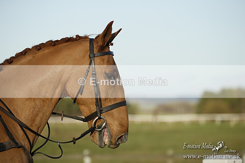 PtP 121220 644 - Avon Vale Races Larkhill 12/12/20
