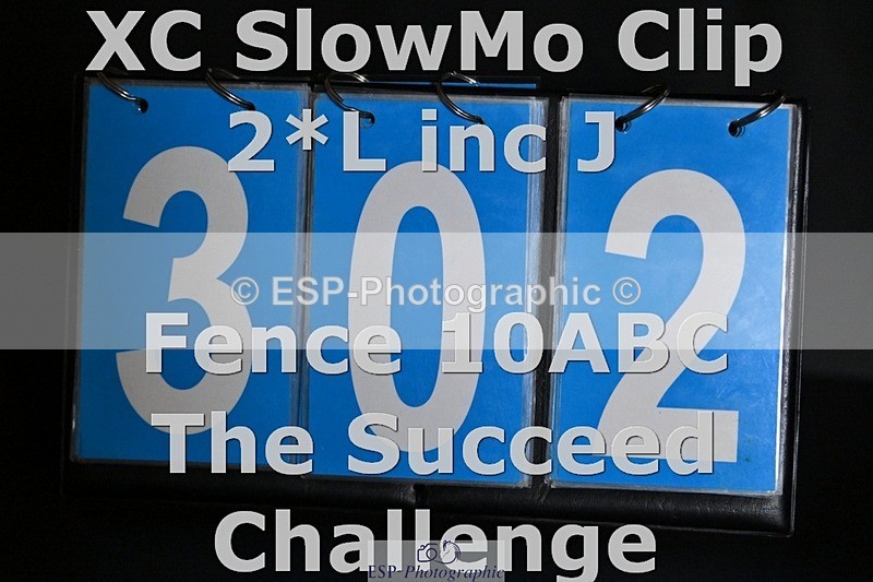 ESP_302 - C-302-Matthew.Glentworth