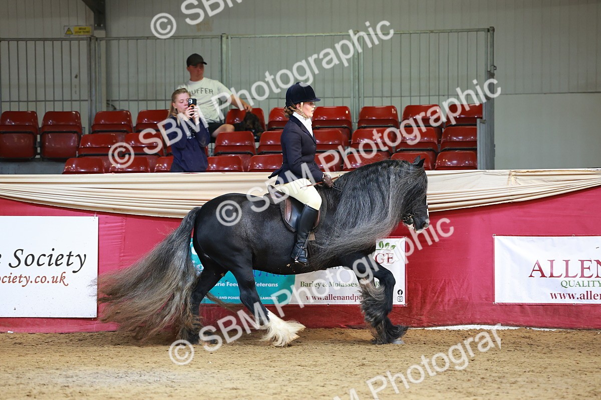 SBM_20337