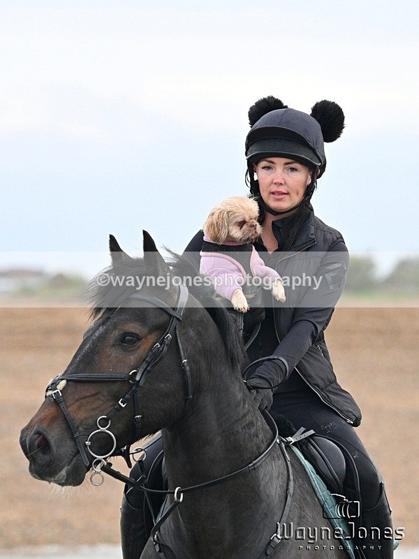 WJ7_9624 - Hayling Island Beach Shoot 22-09-24