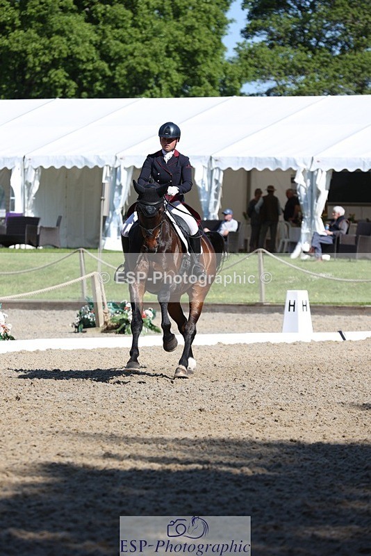 230526-094346-05141 - 357-VIVENDI_HERO-Saffron_Cresswell-WEDTrotUp+DR