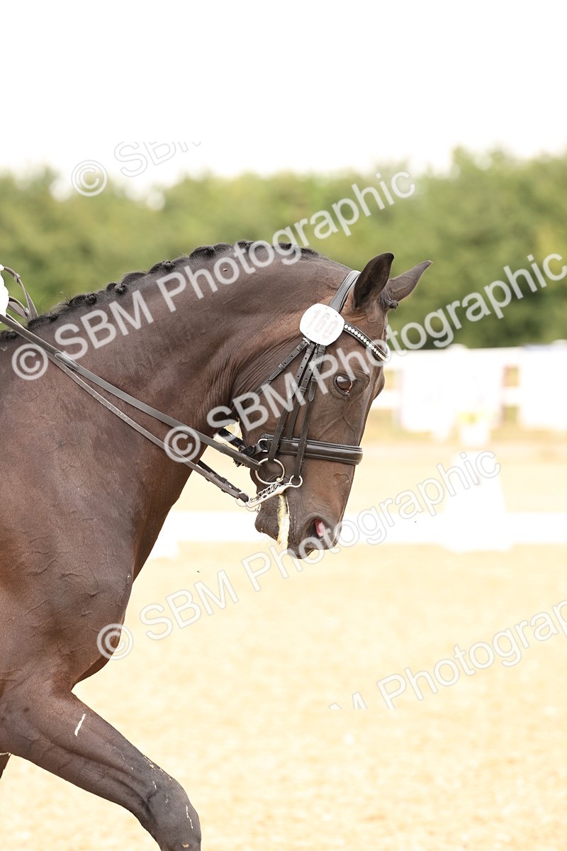 SBM_005590 - Class 12 - Elementary 6 Silver - 10.36-11.32