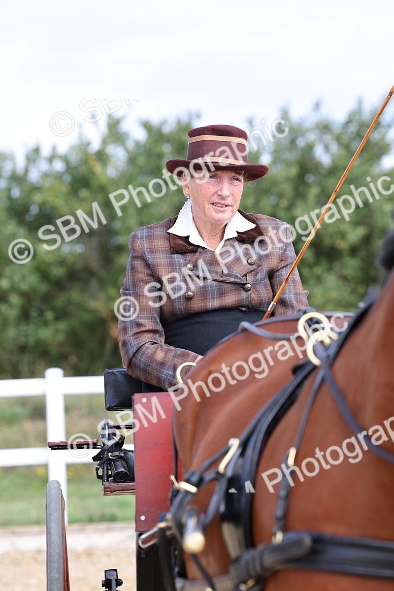 SBM_000934 - Class 8 - Novice Horse or Pony to any vehicle