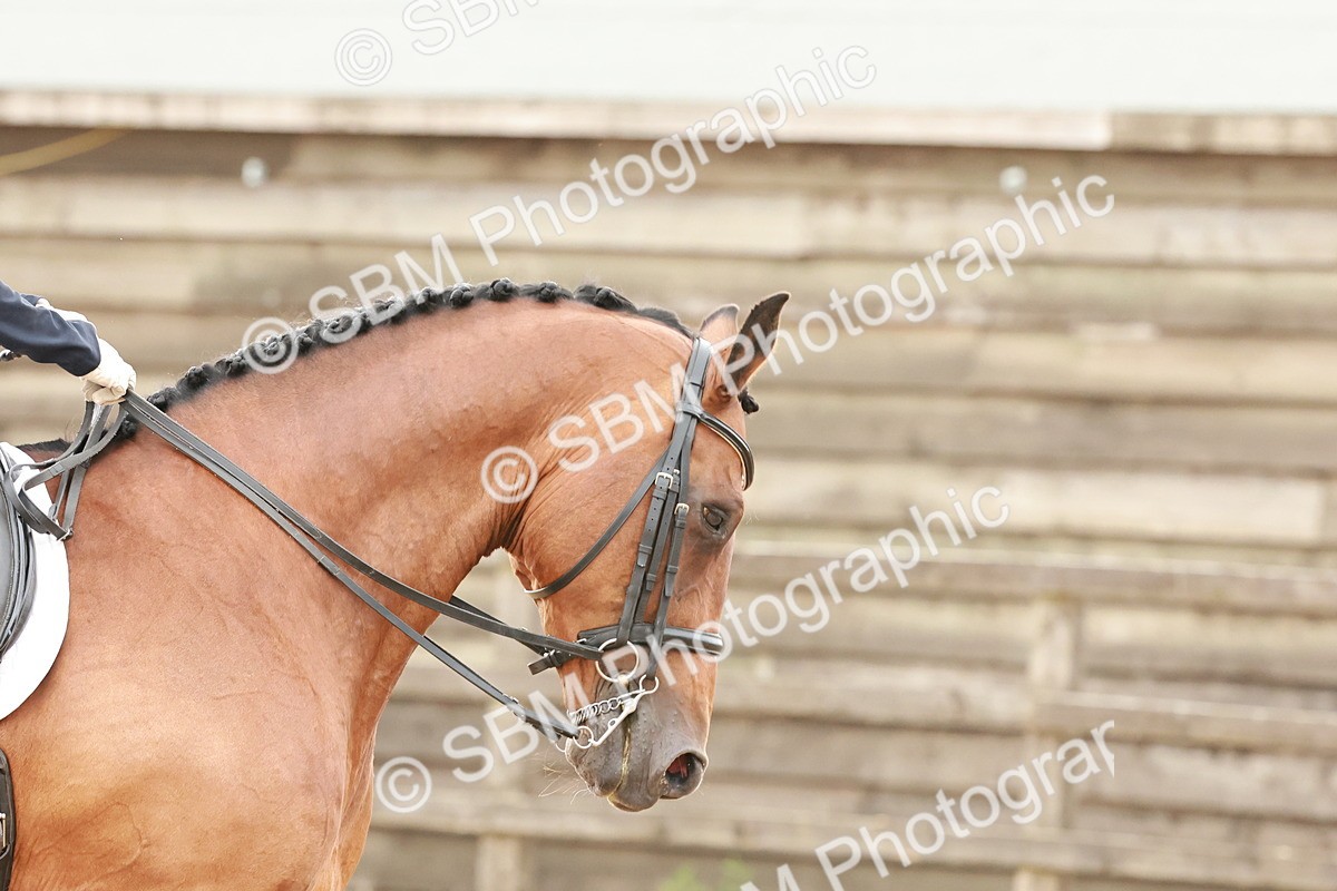 SBM_001782 - Elementary 1-2