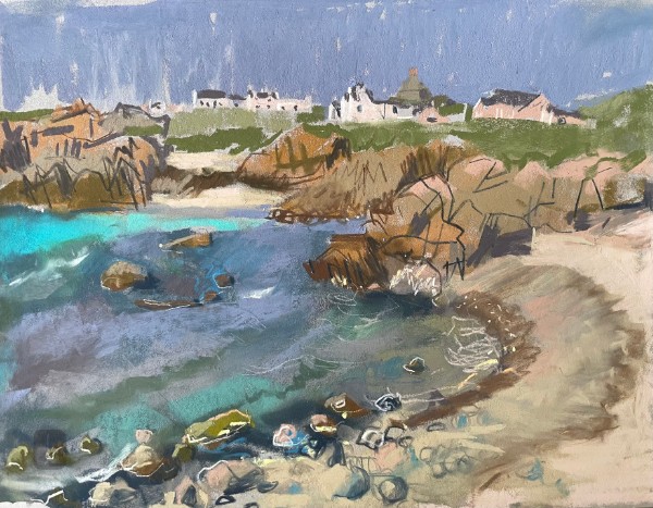 Balephuil Bay - Life, still