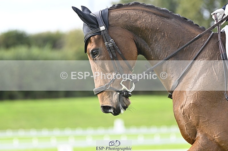 251023A-104038-02903 - F-407-Helen.Jackson