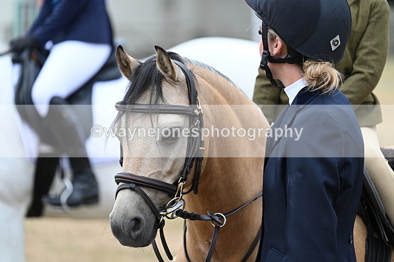 WJ7_7128 - Class 2 Best Rider