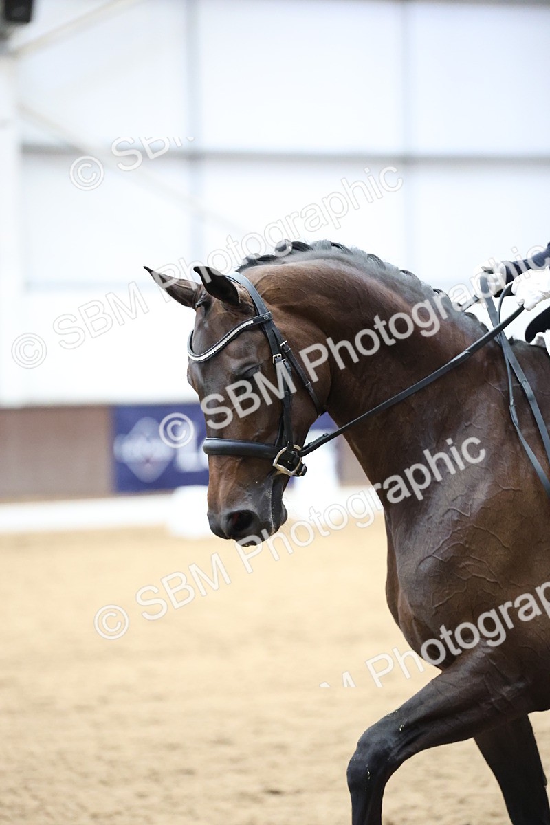 SBM_003260 - Class 5 - Novice 6 Gold - 11.41-12.51