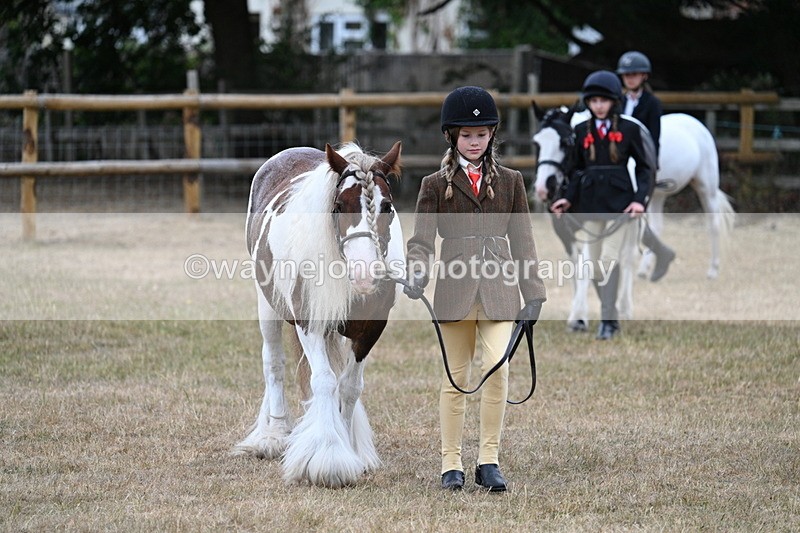 WJ7_8057 - Class 4 Prettiest Mare up to 14.2hh