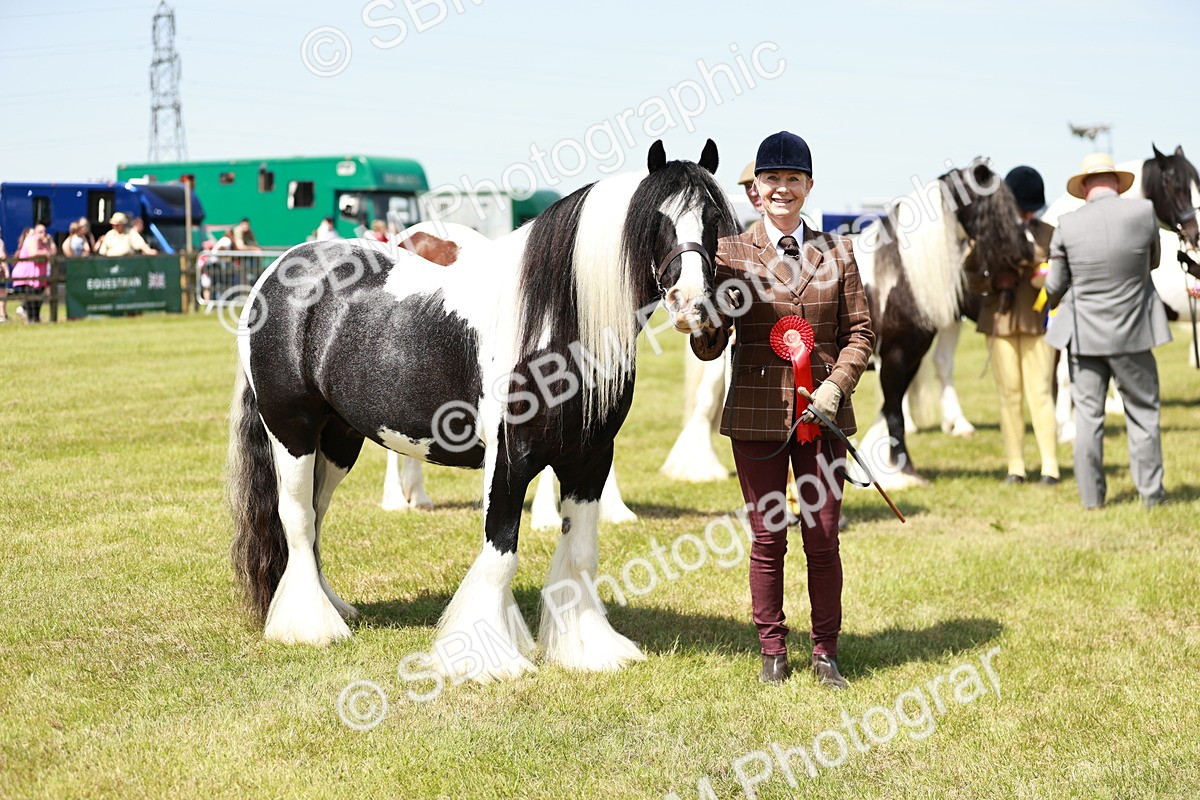 SBM_04264 - Class 39-40 - BSPA Coloured In Hand
