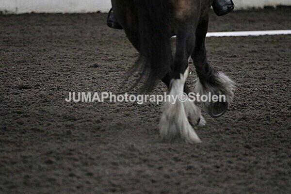 SIAL4344 - CAbin Dressage 5th july 2025