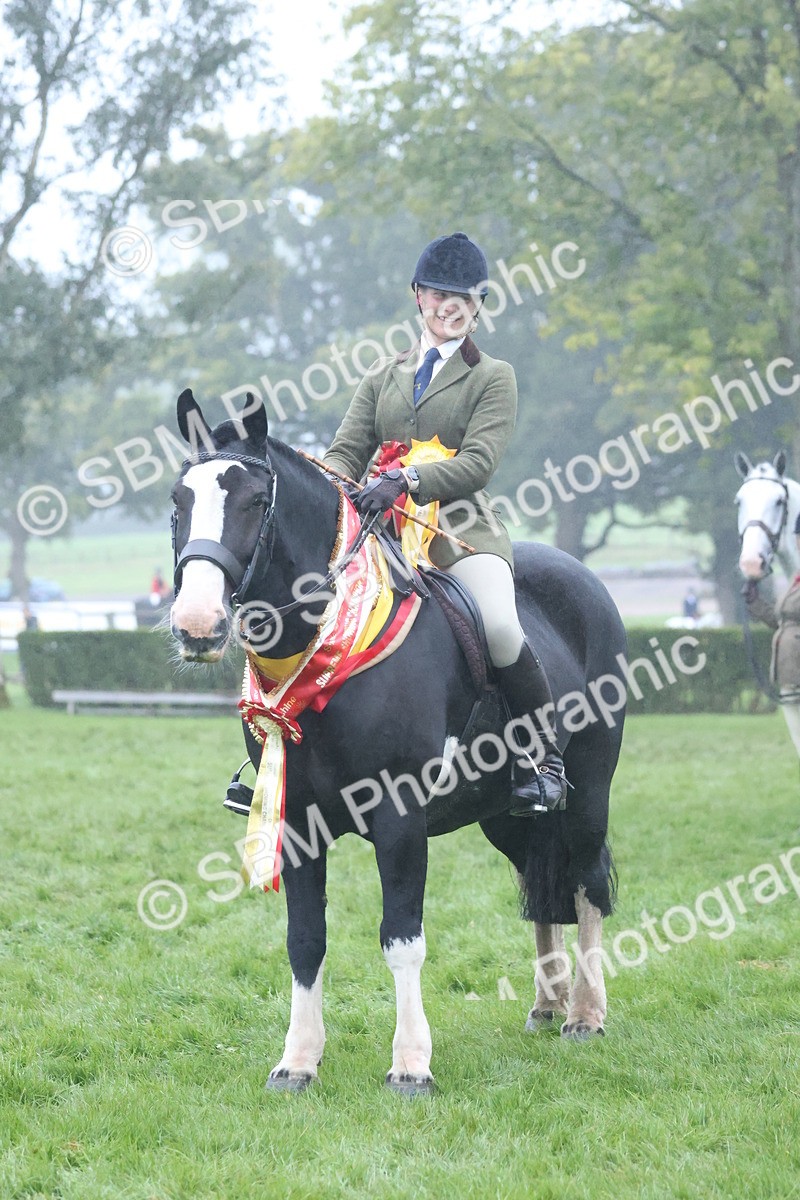 SBM_73256 - Super Supreme Championship(Sun)