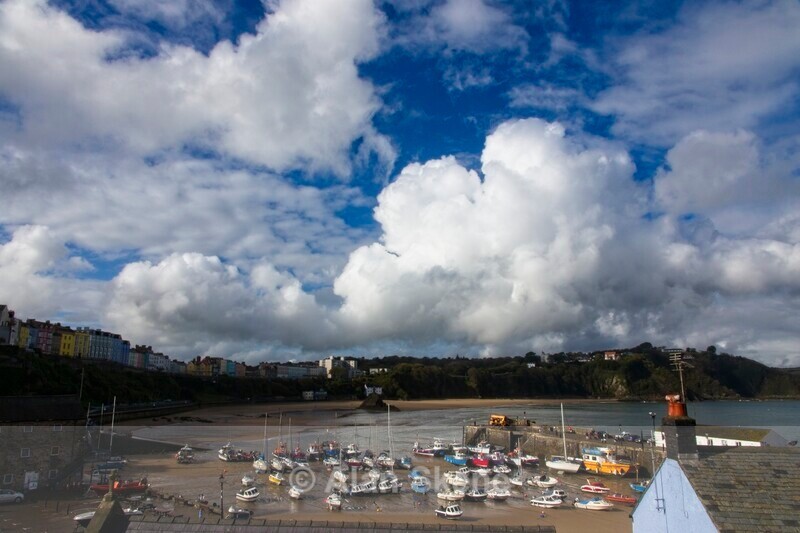 DSC06132 - Pembrokeshire Wales