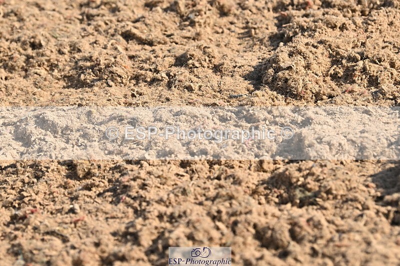 240509A-090556-00431 - Cls 8 Foxhunter