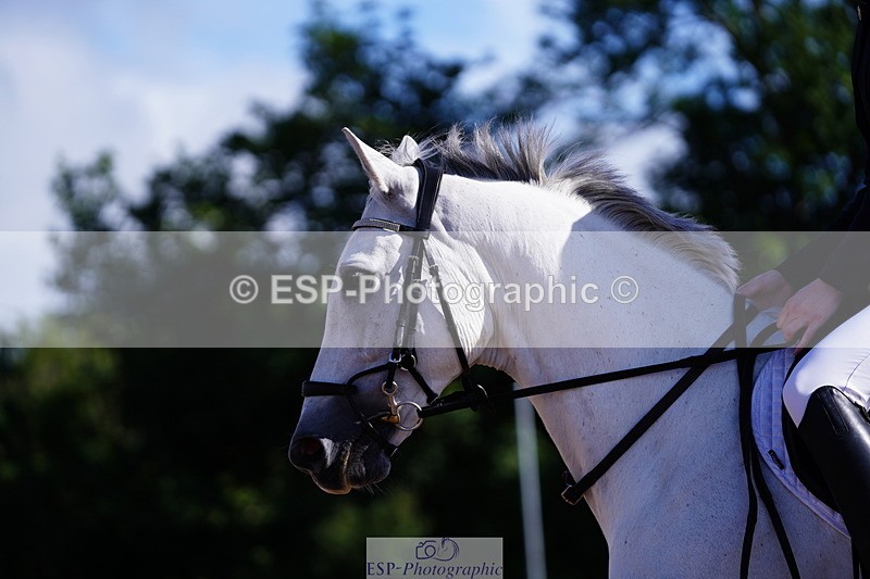 240809A-091914-00209 - Dressage Competition