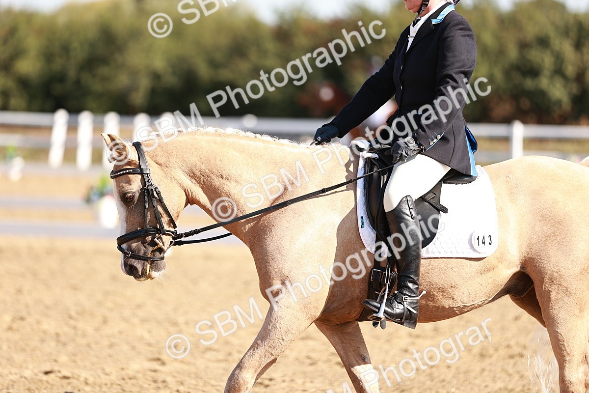 SBM_004359 - Class 12 - Novice 5 - 9.07-10.10