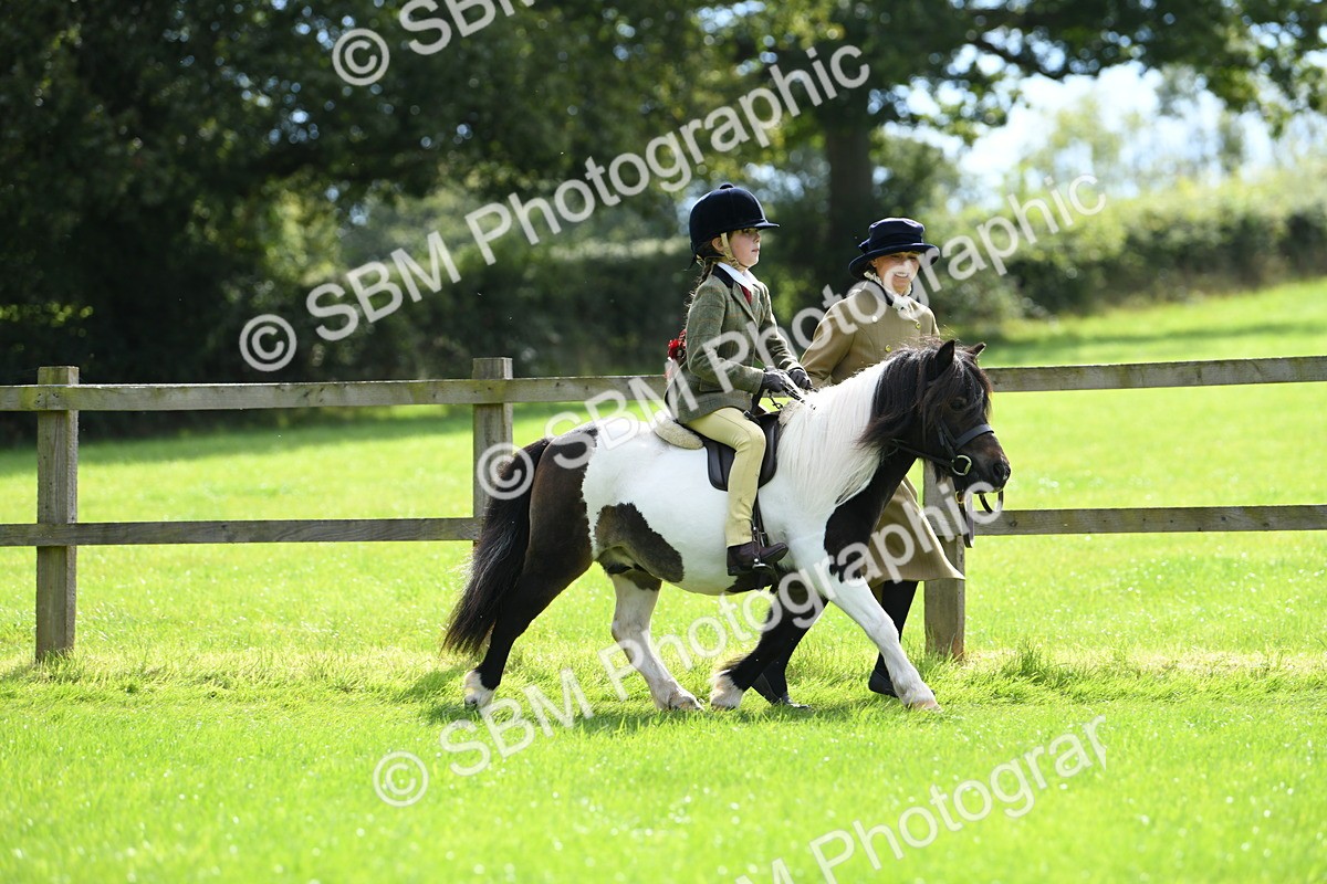 SBM_42516 - S20 - Lead Rein Mountain & Moorland Pony