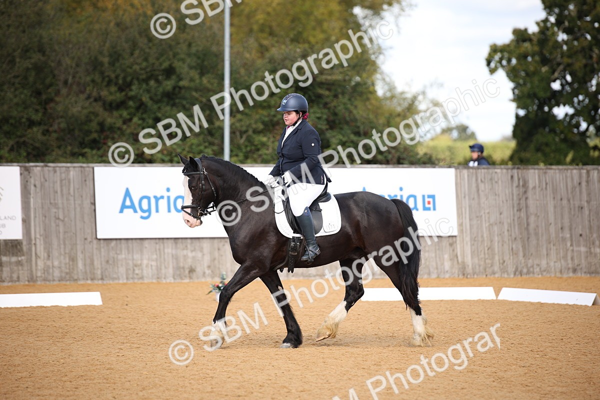 SBM_04190 - D2 Small Tour Championship Intro C